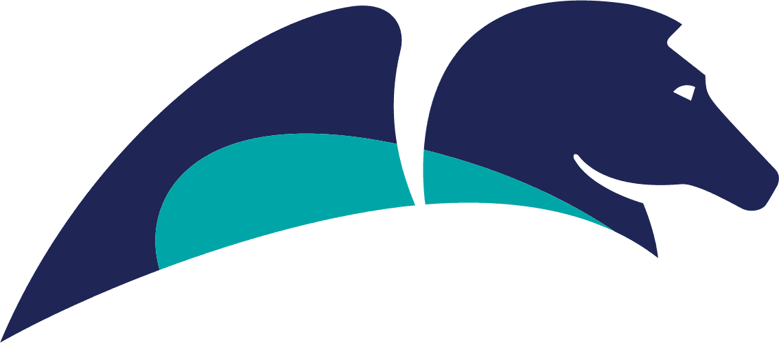 Pegasystems